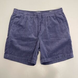 PACSUN Purple Corduroy Volley Shorts
